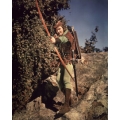 Adventures of Robin Hood Errol Flynn Photo